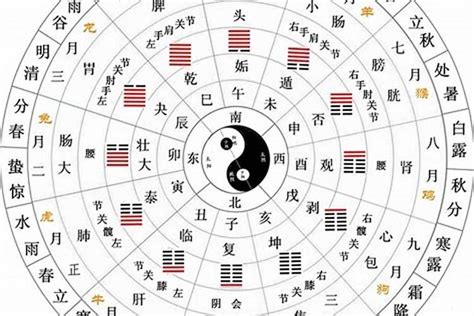 十天干十二地支|十天干十二地支